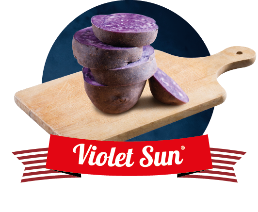 violet sun