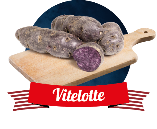 vitelotte